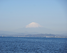 冠雪した富士山