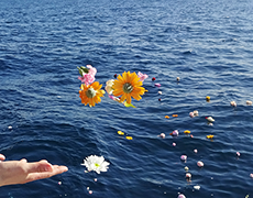 色とりどりの花びらを海へと手向けます