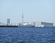 遠くには東京スカイツリー