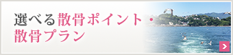 選べる散骨ポイント・散骨プラン